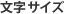 文字サイズ